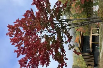 PARC NATIONAL D&rsquo;OPÉMICAN – SÉPAQ