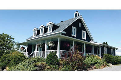 LA DOUCEUR DU CHÊNE-VERT