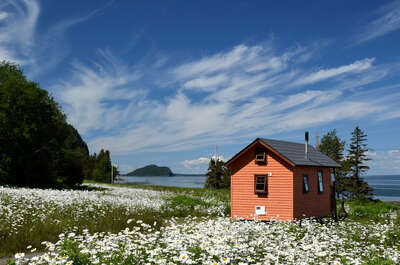 DOMAINE FLORAVIE INC.