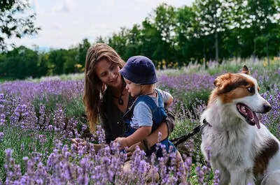 Quoi faire dans les Cantons-de-l’Est (activités, services, hébergements)