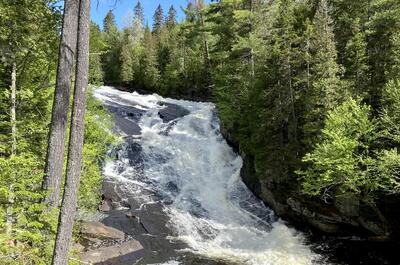 SAUF AU CHALET – LE DRAVEUR