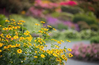 Parc botanique À Fleur d&rsquo;eau et jardin géologique