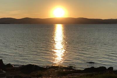 L&rsquo;ESTRAN DES OIES