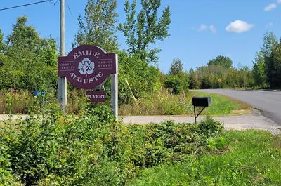 Vignoble Émile-Auguste