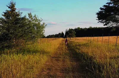 Chemin pèlerin Monasteriorum