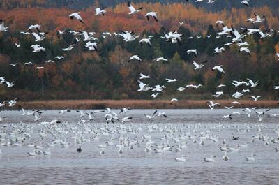 Corporation de développement de l&rsquo;Étang Burbank