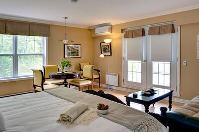 VUE SUR LA MONTAGNE AU COEUR DE ST-SAUVEUR – STUDIO