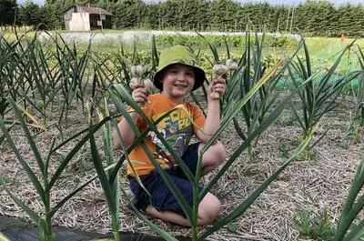Les Jardins de Louis-Alexis