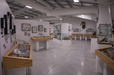 Musée de la nature (Saint-Tite-des-Caps)