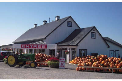 Polyculture Plante 1987 inc.