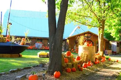 La brouette à légumes… citrouilles et sorcellerie