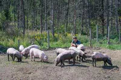 Les Viandes Bio de Charlevoix