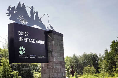 Boisé Héritage faune