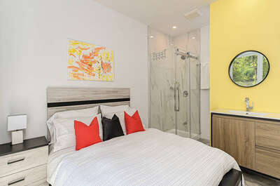 LA COLOMBE DES MONTAGNES