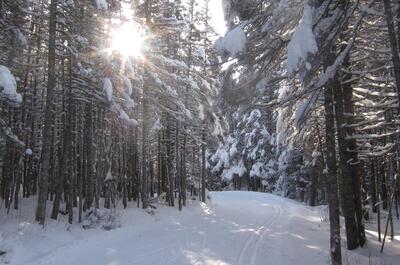 Club de ski de fond Rapido de Sept-Îles