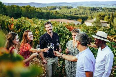 Kikico-Tours privés de vignobles