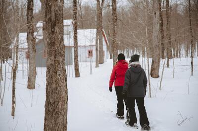 LE HAVRE DU LAC VERT