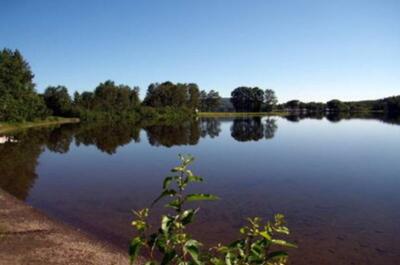LE ROYAUME DU CAMPEUR