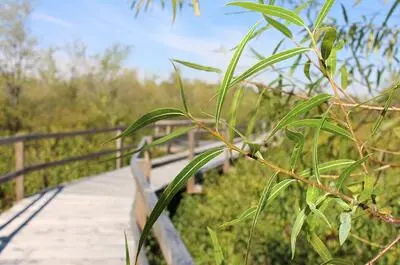 Parc et sentier de la nature