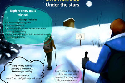 Raquette sous les étoiles