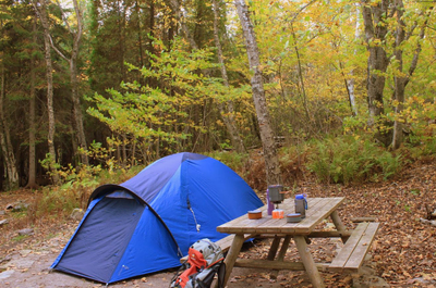 L&rsquo;ÉCHO DES VAGUES