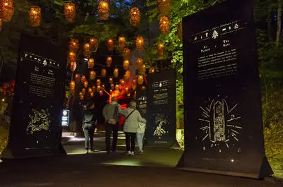 Foresta Lumina au Parc de la Gorge de Coaticook / Expérience multimédia immersive