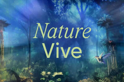 Nature vive