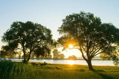 Balade à vélo sur le chemin du Roy
