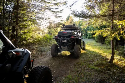 Biffrentals Aventure