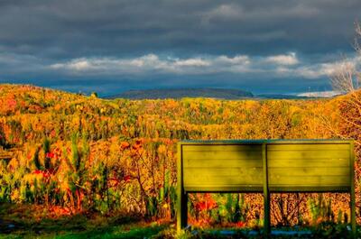 Randonnée pédestre – La Forêt de l&rsquo;Abbaye Val Notre-Dame
