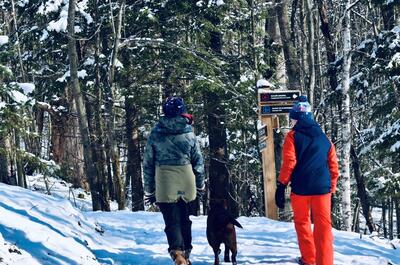Parc de la Gorge de Coaticook / Raquette