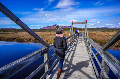 Marais de la Rivière-aux-Cerises