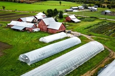 Ferme Roots and Shoots