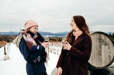 Décembre au vignoble