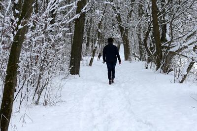 Centre de la nature de Farnham / Ornithologie