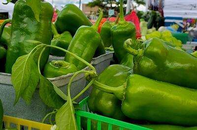 Marché public Notre-Dame
