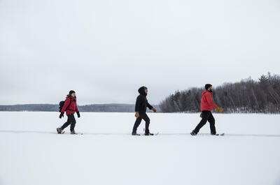 Parc national de la Yamaska / Raquette