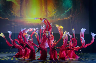 Gala du nouvel an chinois au Canada (Gala Phénix) – Troupe artistique Phénix