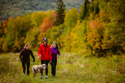 Mont-Sainte-Anne / Randonnée pédestre