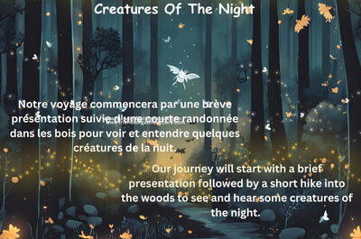 Créatures de la nuit
