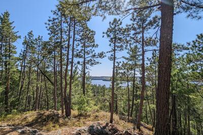 Parc de la Pointe-aux-Roches