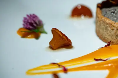 SèVE – Restos nature et terroirs