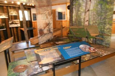 Sentiers pédestres de Chartierville / Randonnée pédestre, réseau