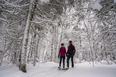 Parc du Mont Loup-Garou