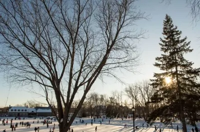 Patinoire de l&rsquo;île-des-Moulins