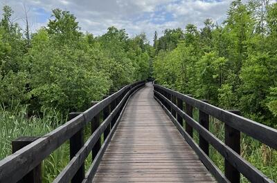 Parc de la Forêt-Boucher