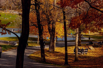 Parcs régionaux et municipaux