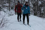 Ski de fond en forêt&nbsp;&nbsp;&nbsp;&copy; PNRP
