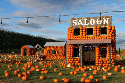 Saloon de Citrouilleville