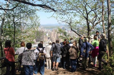 Explore the Mount-Royal in a thousand different ways!